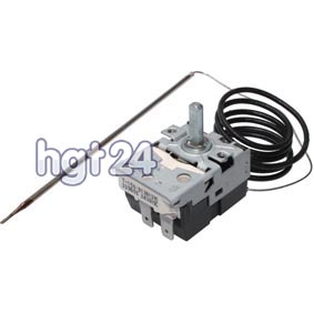 Thermostat EH 81381375